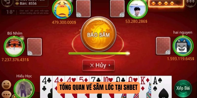 Tổng quan về Sâm Lốc tại SHBET
